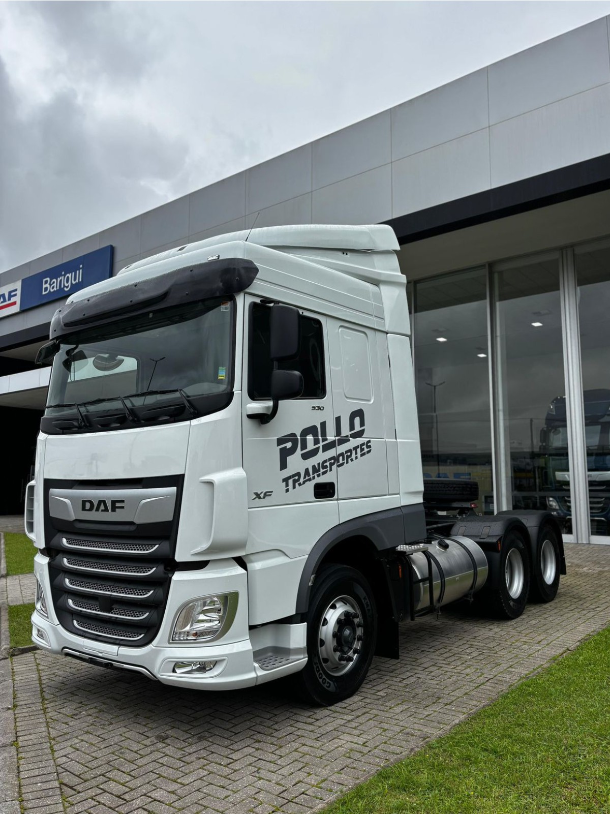 Cavalo mecânico DAF personalizado Pollo Transportes